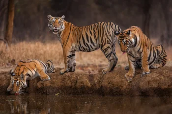 DSC02246-Enhanced-NR