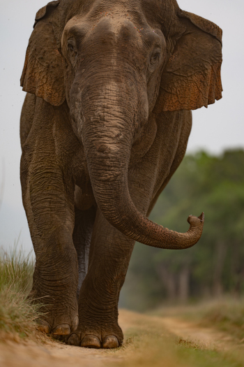 DSC01620-Enhanced-NR