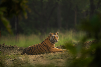 DSC09125-Enhanced-NR