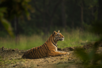 DSC09171-Enhanced-NR