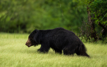 DSC2104-Enhanced-NR-Edit