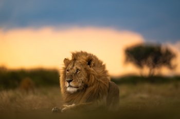 DSC03594-Enhanced-NR