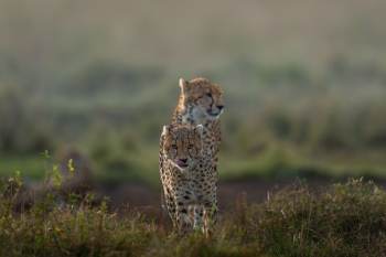 DSC6486-Enhanced-NR-2