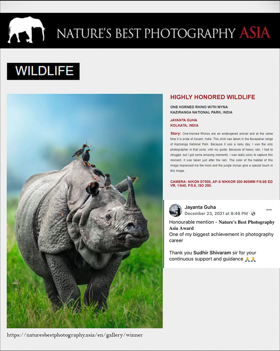 rino