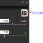 Post Processing Using Capture NX-D (for Nikon RAW Shooters)