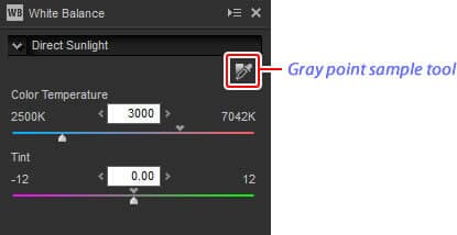 Post Processing Using Capture NX-D (for Nikon RAW Shooters)