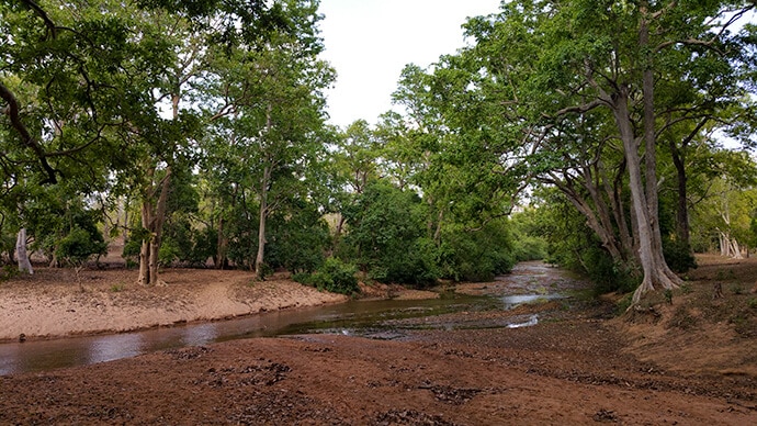 buffer area in bandhavgarh