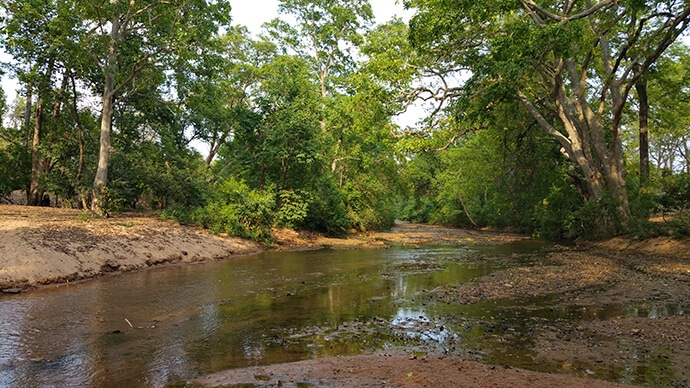 buffer area in bandhavgarh