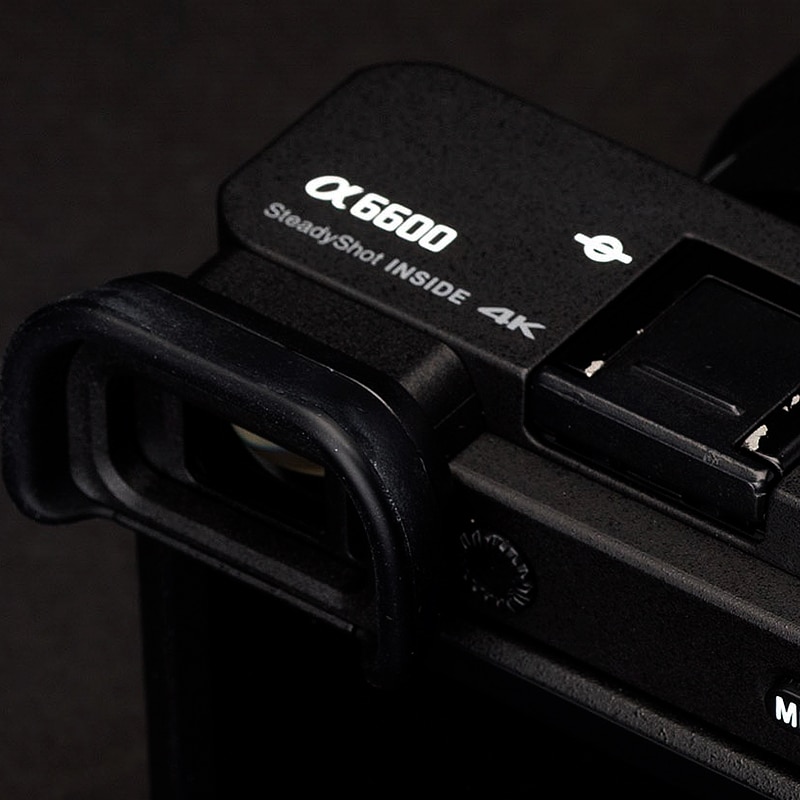 Ultimate Guide to Sony Alpha 6600