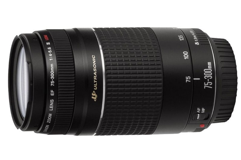 Canon EF 75-300mm f4-5.6 III USM