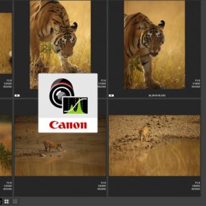 Post Processing Using Canon DPP (For Canon RAW Shooters)