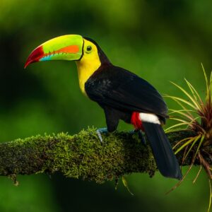 Costa Rica Nov 2022