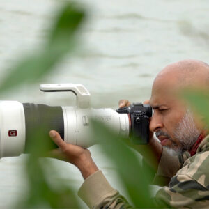 Path to Professional Photography
