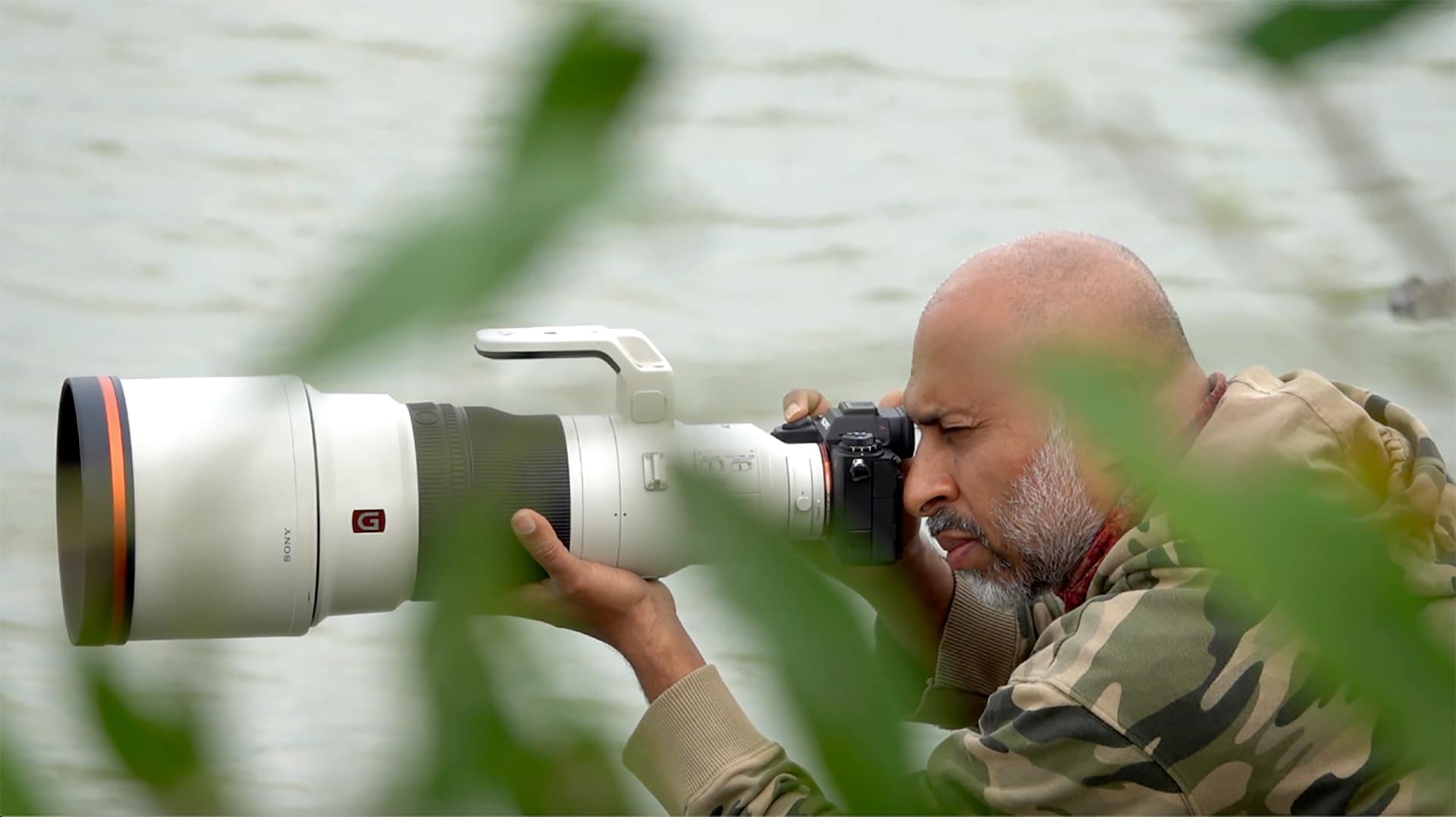 Ranthambhore July 2021