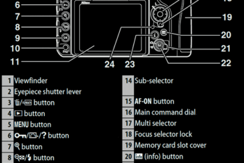 Ultimate Guide to Nikon D500