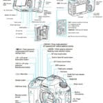 Complete Guide to Canon 7D Mark II