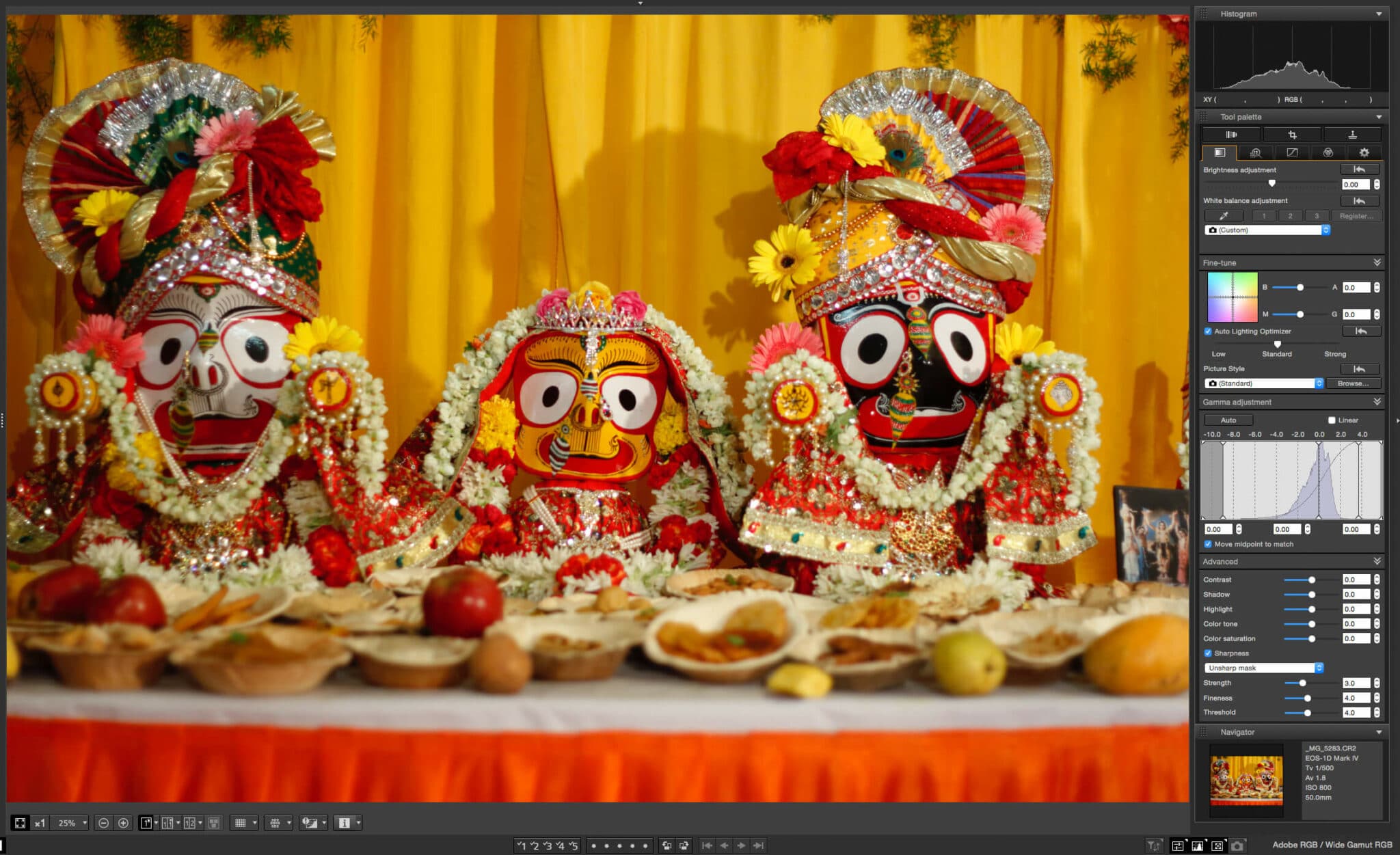 Post Processing Using Canon DPP (For Canon RAW Shooters)