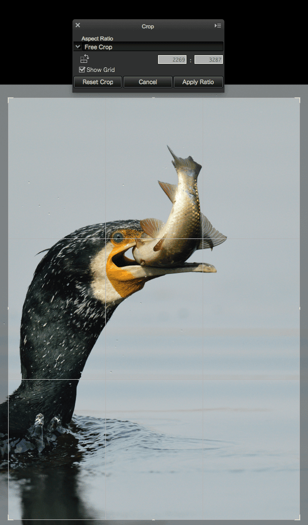 Post Processing Using Capture NX-D (for Nikon RAW Shooters)