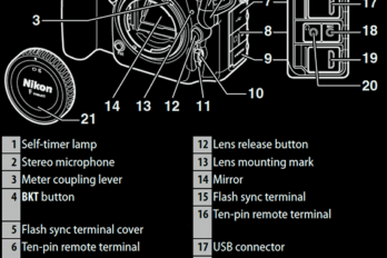 Ultimate Guide to Nikon D500
