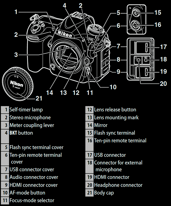 Ultimate Guide to Nikon D500