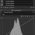 Post Processing Using Capture NX-D (for Nikon RAW Shooters)