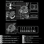 Complete Guide to using Nikon D750