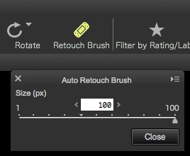 Post Processing Using Capture NX-D (for Nikon RAW Shooters)
