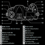 Ultimate Guide to Nikon D500
