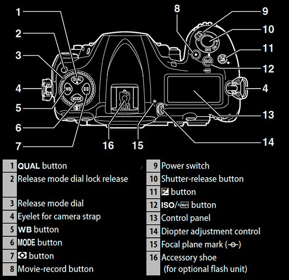 Ultimate Guide to Nikon D500