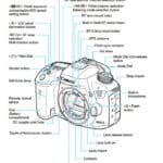 Complete Guide to Canon 7D Mark II