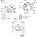 Complete Guide to Canon 5D Mark IV