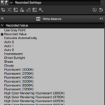 Post Processing Using Capture NX-D (for Nikon RAW Shooters)
