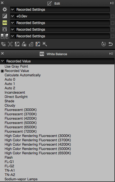 Post Processing Using Capture NX-D (for Nikon RAW Shooters)