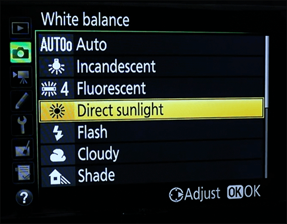 Ultimate Guide to Nikon D500