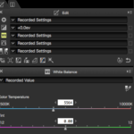 Post Processing Using Capture NX-D (for Nikon RAW Shooters)