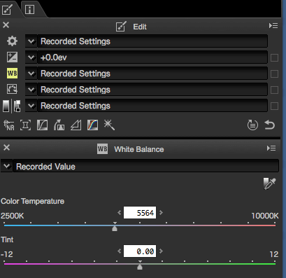 Post Processing Using Capture NX-D (for Nikon RAW Shooters)