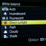 Ultimate Guide to Nikon D500