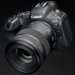 Ultimate Guide to Canon EOS R6 (and R5)