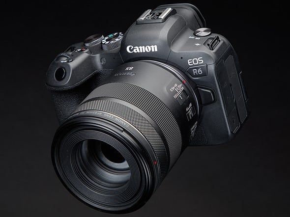 Ultimate Guide to Canon EOS R6 (and R5)