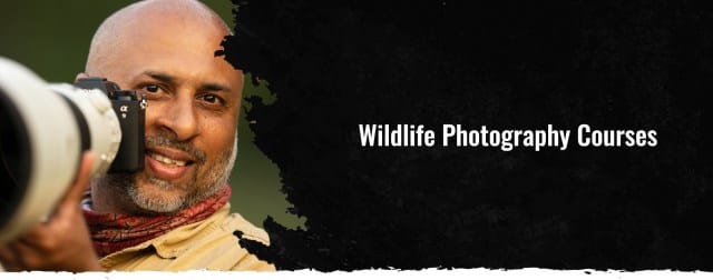 Best wildlife photography courses in Bangalore 