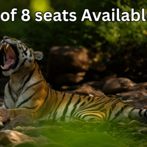 Bandhavgarh Tiger Reserve April 2026