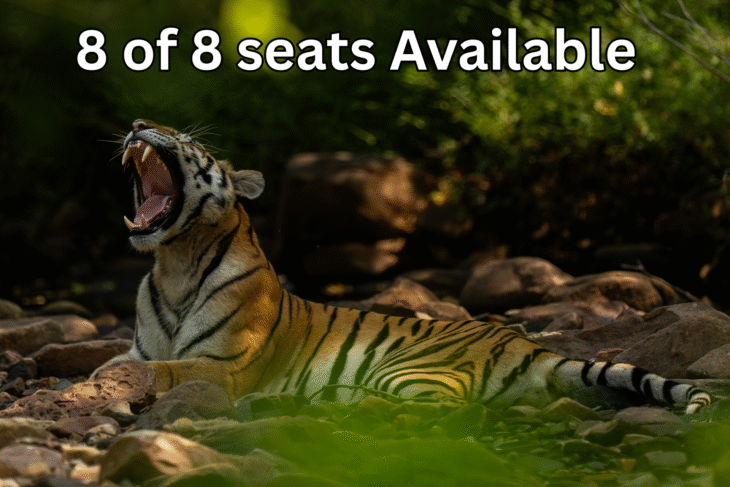 Bandhavgarh Tiger Reserve