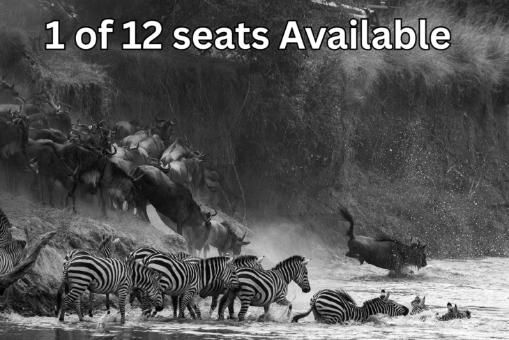 Masai Mara – The Great Migration