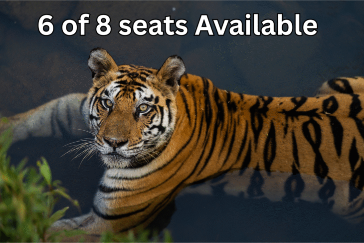 Panna Tiger Reserve