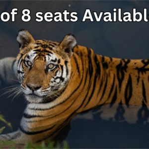 Panna Tiger Reserve Jan 2026