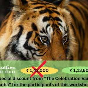 Kanha Tiger Reserve January 2026
