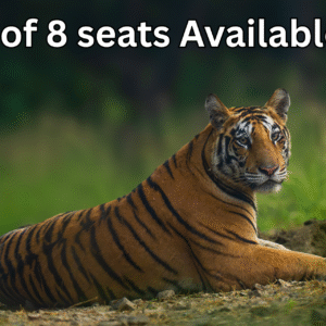 Panna Tiger Reserve April 2026