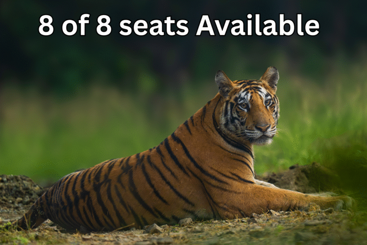 Panna Tiger Reserve