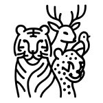 KEY SPECIES